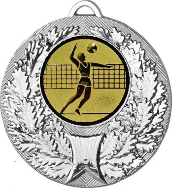 Медаль №27-192 (Волейбол, диаметр 50 мм (Медаль цвет серебро плюс жетон для вклейки) Место для вставок: обратная сторона диаметр 45 мм)
