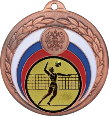 Медаль №27-196 (Волейбол, диаметр 50 мм (Медаль цвет бронза плюс жетон для вклейки) Место для вставок: обратная сторона диаметр 45 мм)