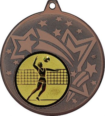Медаль №27-27 (Волейбол, диаметр 45 мм (Медаль цвет бронза плюс жетон для вклейки) Место для вставок: обратная сторона диаметр 39 мм)