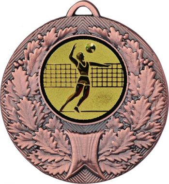 Медаль №27-192 (Волейбол, диаметр 50 мм (Медаль цвет бронза плюс жетон для вклейки) Место для вставок: обратная сторона диаметр 45 мм)