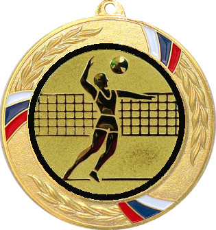 Медаль №27-1285 (Волейбол, диаметр 70 мм (Медаль цвет золото плюс жетон для вклейки) Место для вставок: обратная сторона диаметр 60 мм)