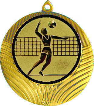 Медаль №27-1302 (Волейбол, диаметр 56 мм (Медаль цвет золото плюс жетон для вклейки) Место для вставок: обратная сторона диаметр 50 мм)