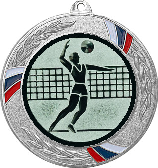 Медаль №27-1285 (Волейбол, диаметр 70 мм (Медаль цвет серебро плюс жетон для вклейки) Место для вставок: обратная сторона диаметр 60 мм)