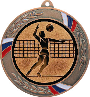 Медаль №27-1285 (Волейбол, диаметр 70 мм (Медаль цвет бронза плюс жетон для вклейки) Место для вставок: обратная сторона диаметр 60 мм)