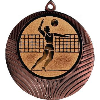 Медаль №27-8 (Волейбол, диаметр 70 мм (Медаль цвет бронза плюс жетон для вклейки) Место для вставок: обратная сторона диаметр 64 мм)