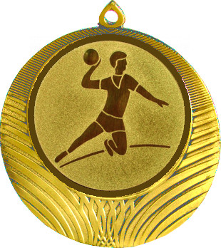 Медаль №29-8 (Гандбол, диаметр 70 мм (Медаль цвет золото плюс жетон для вклейки) Место для вставок: обратная сторона диаметр 64 мм)