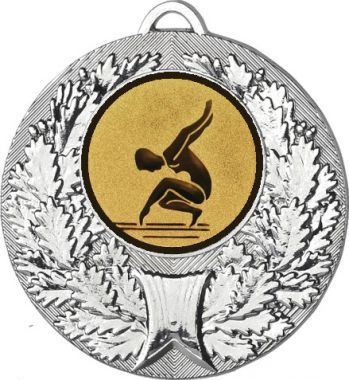 Медаль №30-192 (Гимнастика, диаметр 50 мм (Медаль цвет серебро плюс жетон для вклейки) Место для вставок: обратная сторона диаметр 45 мм)