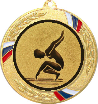 Медаль №30-1285 (Гимнастика, диаметр 70 мм (Медаль цвет золото плюс жетон для вклейки) Место для вставок: обратная сторона диаметр 60 мм)