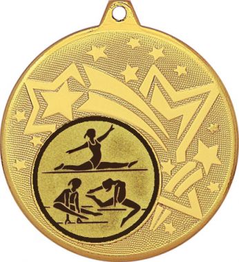 Медаль №31-1274 (Гимнастика, диаметр 45 мм (Медаль цвет золото плюс жетон для вклейки) Место для вставок: обратная сторона диаметр 40 мм)