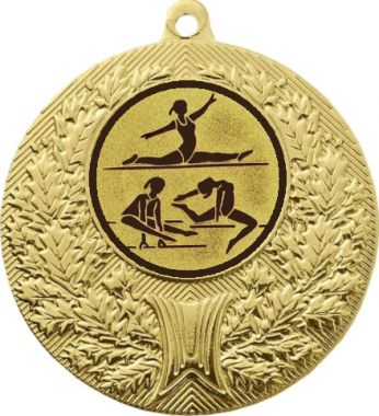 Медаль №31-192 (Гимнастика, диаметр 50 мм (Медаль цвет золото плюс жетон для вклейки) Место для вставок: обратная сторона диаметр 45 мм)