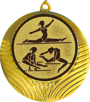 Медаль №31-1302 (Гимнастика, диаметр 56 мм (Медаль цвет золото плюс жетон для вклейки) Место для вставок: обратная сторона диаметр 50 мм)