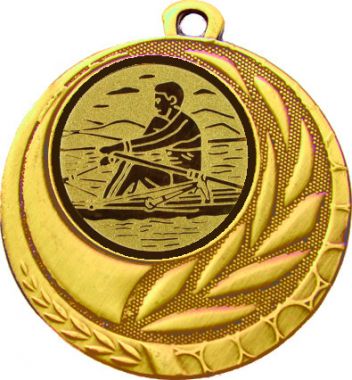 Медаль №34-1274 (Гребля, диаметр 45 мм (Медаль цвет золото плюс жетон для вклейки) Место для вставок: обратная сторона диаметр 40 мм)