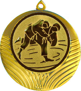 Медаль №36-8 (Дзюдо, диаметр 70 мм (Медаль цвет золото плюс жетон для вклейки) Место для вставок: обратная сторона диаметр 64 мм)