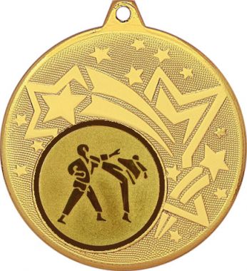Медаль №37-27 (Каратэ, диаметр 45 мм (Медаль цвет золото плюс жетон для вклейки) Место для вставок: обратная сторона диаметр 39 мм)