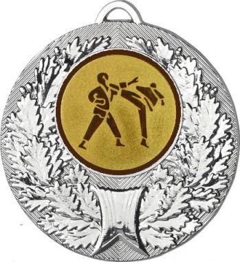 Медаль №37-192 (Каратэ, диаметр 50 мм (Медаль цвет серебро плюс жетон для вклейки) Место для вставок: обратная сторона диаметр 45 мм)