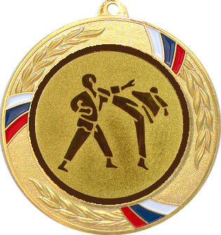 Медаль №37-1285 (Каратэ, диаметр 70 мм (Медаль цвет золото плюс жетон для вклейки) Место для вставок: обратная сторона диаметр 60 мм)