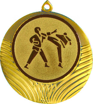 Медаль №37-1302 (Каратэ, диаметр 56 мм (Медаль цвет золото плюс жетон для вклейки) Место для вставок: обратная сторона диаметр 50 мм)