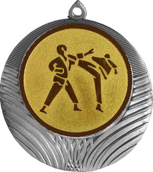 Медаль №37-1302 (Каратэ, диаметр 56 мм (Медаль цвет серебро плюс жетон для вклейки) Место для вставок: обратная сторона диаметр 50 мм)