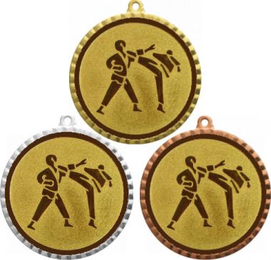 Комплект медалей №37-8 (Каратэ, диаметр 70 мм (Три медали плюс три жетона для вклейки) Место для вставок: обратная сторона диаметр 64 мм)