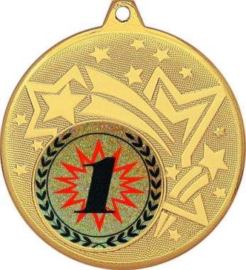 Медаль №4-27 (1 место, диаметр 45 мм (Медаль цвет золото плюс жетон для вклейки) Место для вставок: обратная сторона диаметр 39 мм)