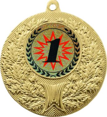 Медаль №4-192 (1 место, диаметр 50 мм (Медаль цвет золото плюс жетон для вклейки) Место для вставок: обратная сторона диаметр 45 мм)
