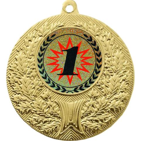 Медаль №4-192 (1 место, диаметр 50 мм (Медаль цвет золото плюс жетон для вклейки) Место для вставок: обратная сторона диаметр 45 мм)