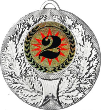 Медаль №4-192 (2 место, диаметр 50 мм (Медаль цвет серебро плюс жетон для вклейки) Место для вставок: обратная сторона диаметр 45 мм)