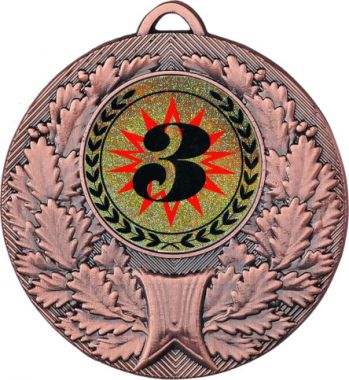 Медаль MN68 (Места, диаметр 50 мм (Медаль плюс жетон VN4))