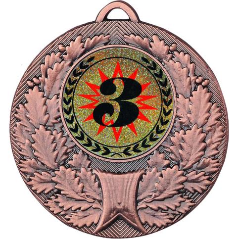 Медаль №4-192 (3 место, диаметр 50 мм (Медаль цвет бронза плюс жетон для вклейки) Место для вставок: обратная сторона диаметр 45 мм)