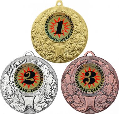 Комплект медалей №4-192 (1, 2, 3 место, диаметр 50 мм (Три медали плюс три жетона для вклейки) Место для вставок: обратная сторона диаметр 45 мм)
