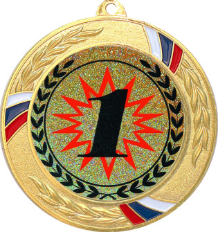 Медаль №4-1285 (1 место, диаметр 70 мм (Медаль цвет золото плюс жетон для вклейки) Место для вставок: обратная сторона диаметр 60 мм)