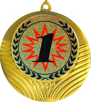 Медаль №4-8 (1 место, диаметр 70 мм (Медаль цвет золото плюс жетон для вклейки) Место для вставок: обратная сторона диаметр 64 мм)
