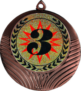 Медаль №4-8 (3 место, диаметр 70 мм (Медаль цвет бронза плюс жетон для вклейки) Место для вставок: обратная сторона диаметр 64 мм)
