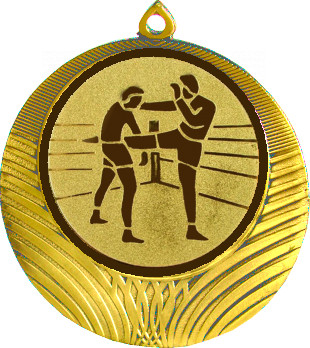 Медаль №40-8 (Кикбоксинг, диаметр 70 мм (Медаль цвет золото плюс жетон для вклейки) Место для вставок: обратная сторона диаметр 64 мм)