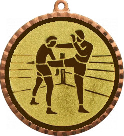 Медаль №40-8 (Кикбоксинг, диаметр 70 мм (Медаль цвет бронза плюс жетон для вклейки) Место для вставок: обратная сторона диаметр 64 мм)