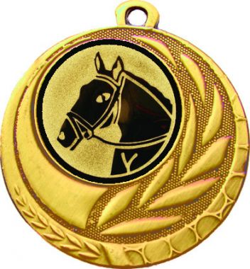 Медаль №41-27 (Конный спорт, диаметр 45 мм (Медаль цвет золото плюс жетон для вклейки) Место для вставок: обратная сторона диаметр 39 мм)
