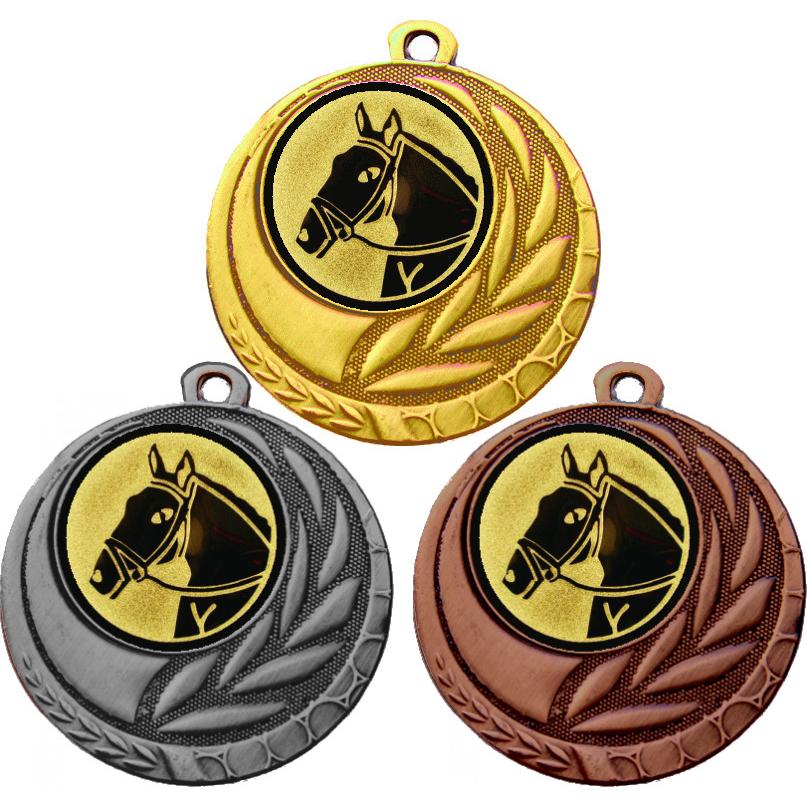Комплект медалей №41-1274 (Конный спорт, диаметр 45 мм (Три медали плюс три жетона для вклейки) Место для вставок: обратная сторона диаметр 40 мм)