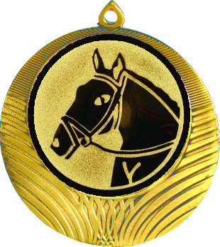 Медаль №41-1302 (Конный спорт, диаметр 56 мм (Медаль цвет золото плюс жетон для вклейки) Место для вставок: обратная сторона диаметр 50 мм)