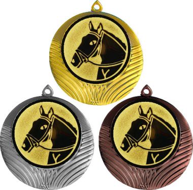 Комплект медалей №41-8 (Конный спорт, диаметр 70 мм (Три медали плюс три жетона для вклейки) Место для вставок: обратная сторона диаметр 64 мм)