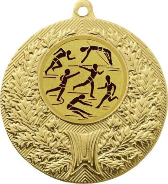 Медаль №45-192 (Легкая атлетика, диаметр 50 мм (Медаль цвет золото плюс жетон для вклейки) Место для вставок: обратная сторона диаметр 45 мм)
