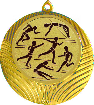 Медаль №45-1302 (Легкая атлетика, диаметр 56 мм (Медаль цвет золото плюс жетон для вклейки) Место для вставок: обратная сторона диаметр 50 мм)