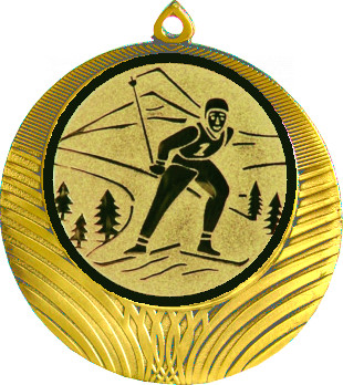 Медаль №46-8 (Лыжный спорт, диаметр 70 мм (Медаль цвет золото плюс жетон для вклейки) Место для вставок: обратная сторона диаметр 64 мм)
