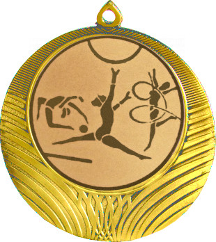 Медаль №5-8 (Художественная гимнастика, диаметр 70 мм (Медаль цвет золото плюс жетон для вклейки) Место для вставок: обратная сторона диаметр 64 мм)