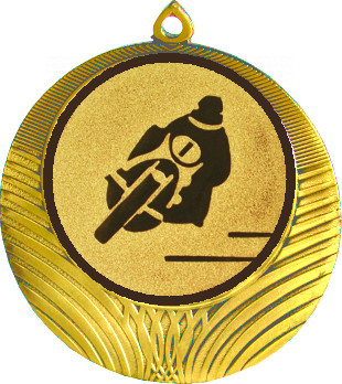 Медаль №50-8 (Мотоспорт, диаметр 70 мм (Медаль цвет золото плюс жетон для вклейки) Место для вставок: обратная сторона диаметр 64 мм)