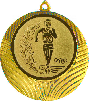 Медаль №52-1302 (Факел, олимпиада, диаметр 56 мм (Медаль цвет золото плюс жетон для вклейки) Место для вставок: обратная сторона диаметр 50 мм)