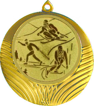 Медаль №563-1302 (Лыжный спорт, диаметр 56 мм (Медаль цвет золото плюс жетон для вклейки) Место для вставок: обратная сторона диаметр 50 мм)