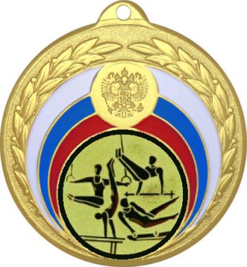 Медаль №566-196 (Гимнастика, диаметр 50 мм (Медаль цвет золото плюс жетон для вклейки) Место для вставок: обратная сторона диаметр 45 мм)
