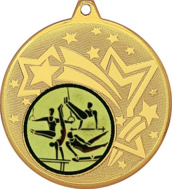 Медаль №566-1274 (Гимнастика, диаметр 45 мм (Медаль цвет золото плюс жетон для вклейки) Место для вставок: обратная сторона диаметр 40 мм)