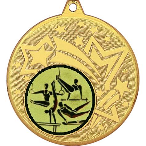 Медаль №566-1274 (Спортивная гимнастика, диаметр 45 мм (Медаль цвет золото плюс жетон для вклейки) Место для вставок: обратная сторона диаметр 40 мм)