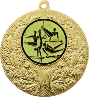 Медаль №566-192 (Гимнастика, диаметр 50 мм (Медаль цвет золото плюс жетон для вклейки) Место для вставок: обратная сторона диаметр 45 мм)